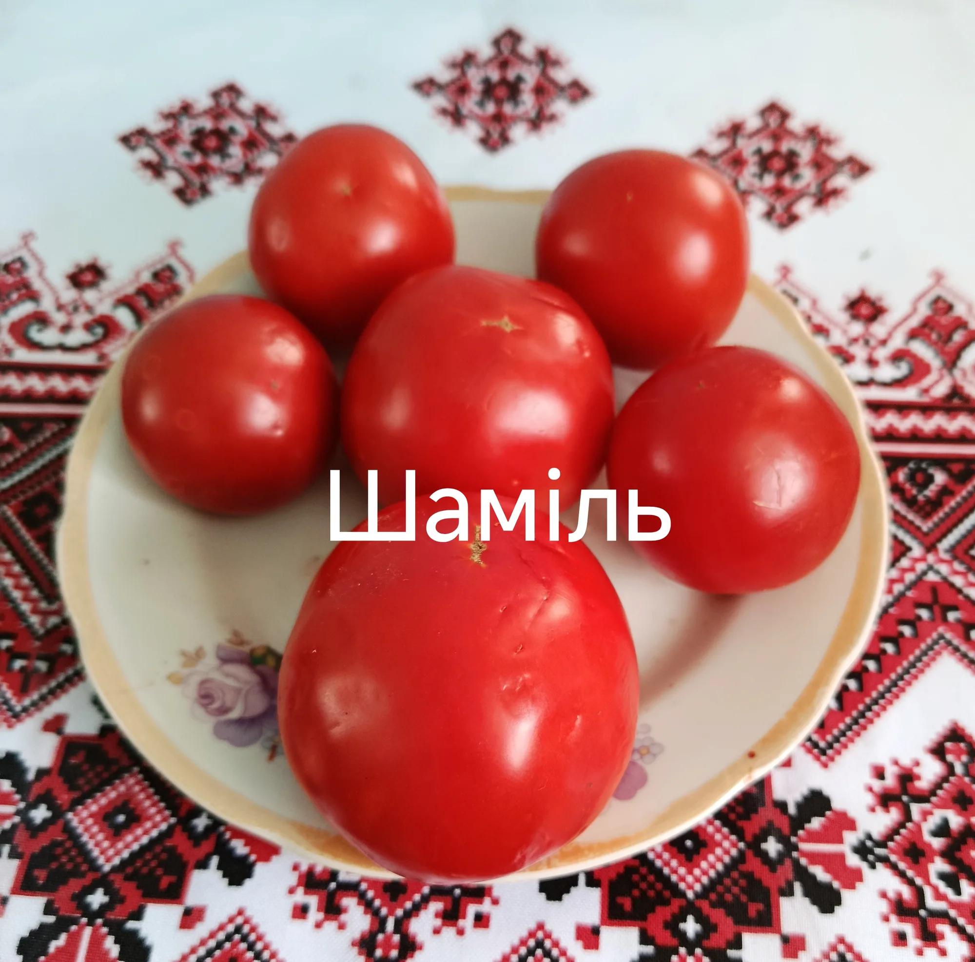 Шаміль