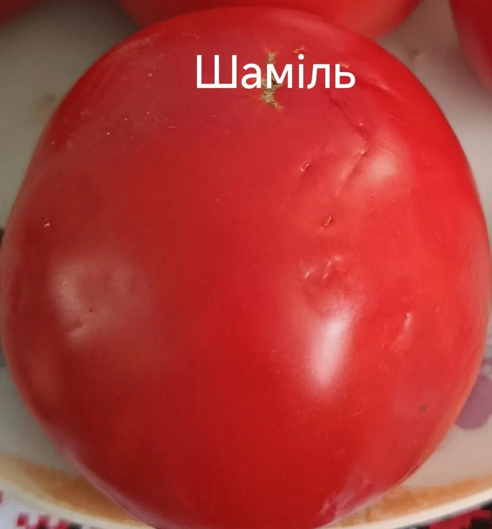 Мініатюра 2
