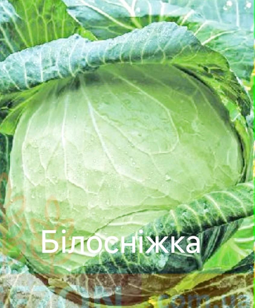 Білосніжка