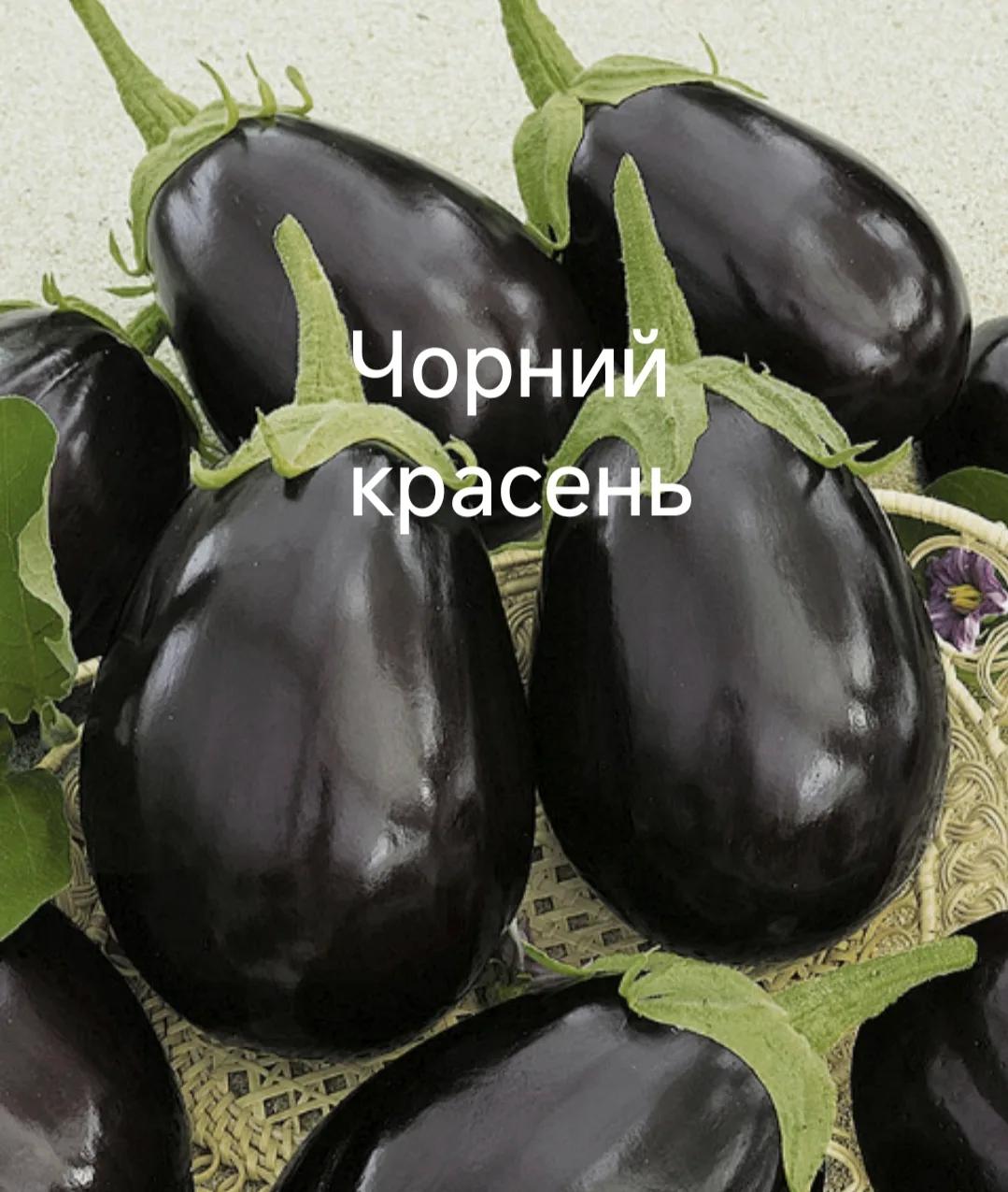 Чорний красень