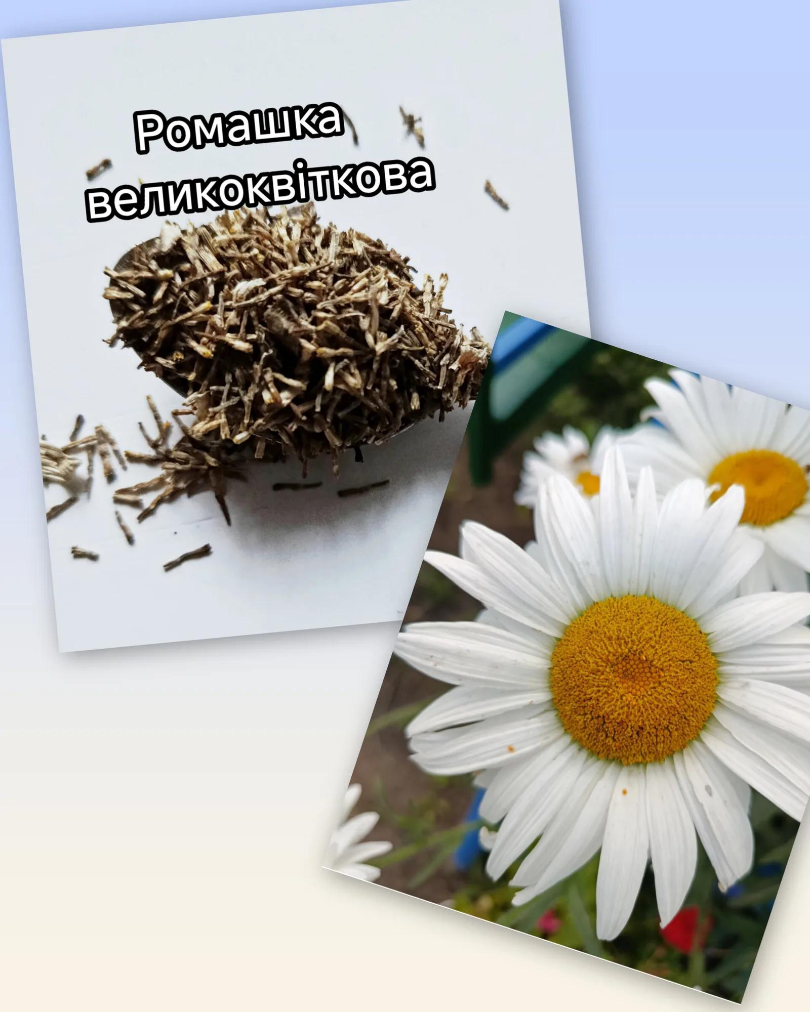Мініатюра 3