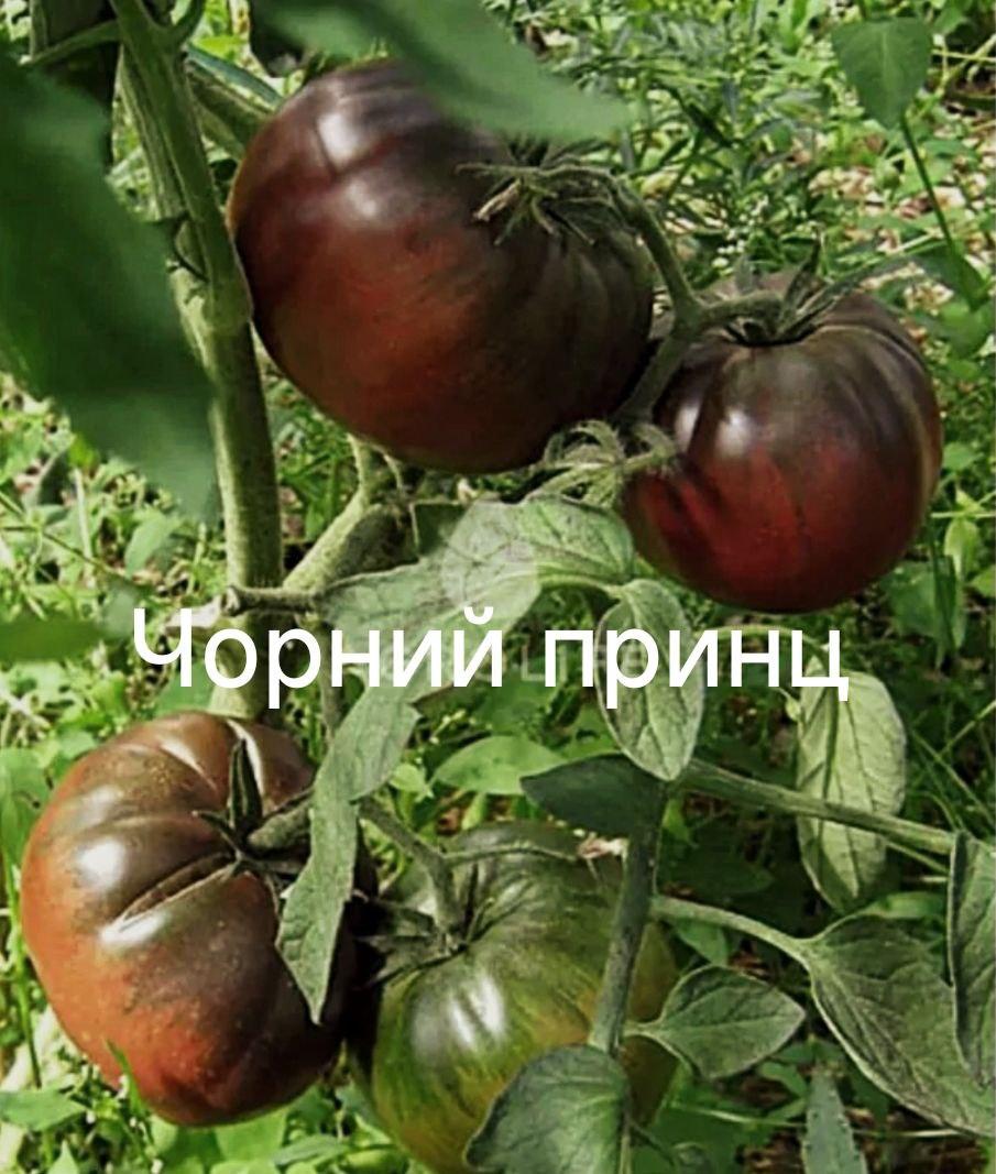 Мініатюра 2