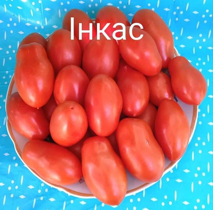 Інкас