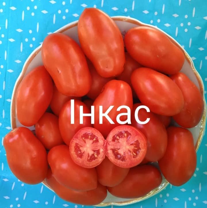 Мініатюра 2