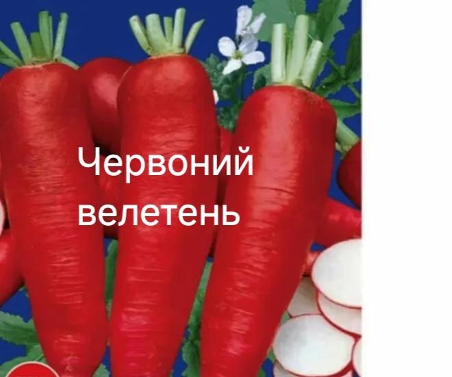 Червоний велетень редис