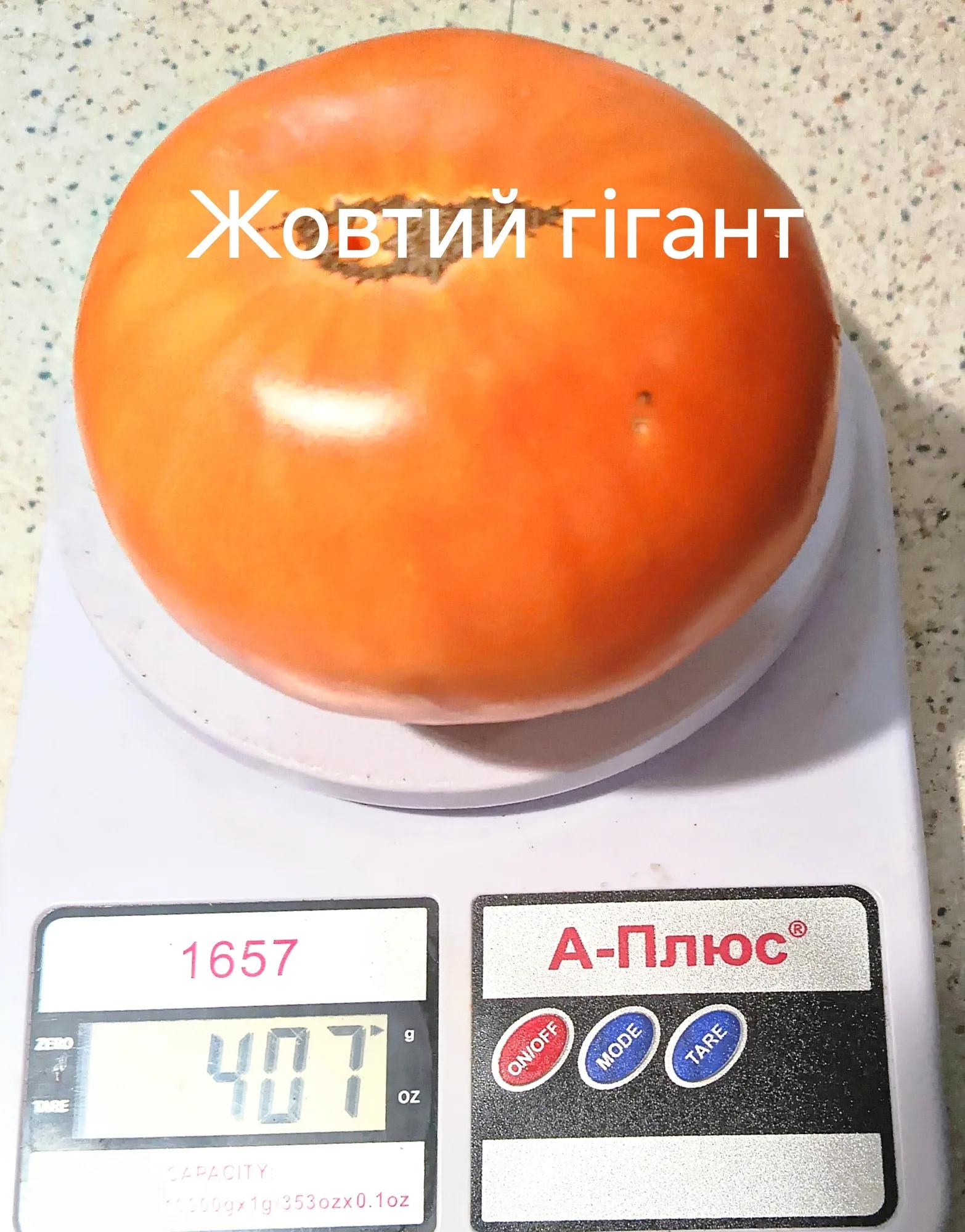 Жовтий гігант